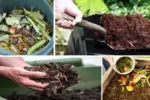6 Proven Ways to Retain Moisture in Your Garden Soil