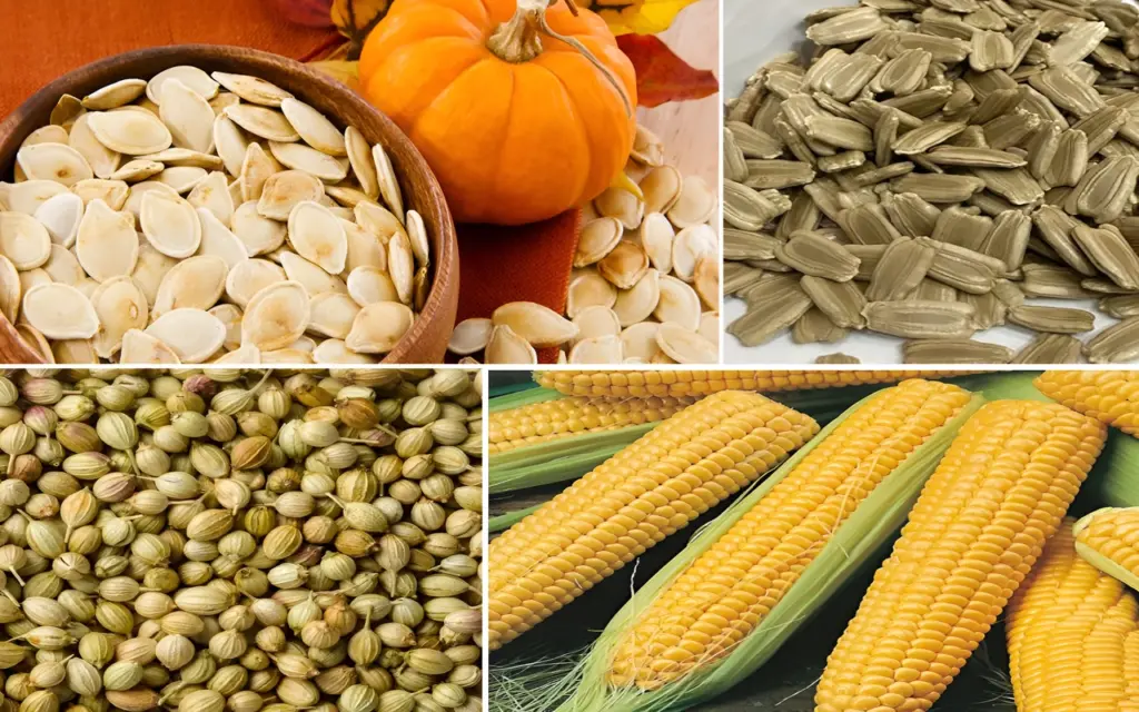 How to Collect and Store Seeds the Right Way
