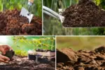 Top 9 Methods to Revive and Enrich Poor Garden Soil
