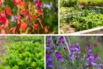Extend Your Garden Season Into November