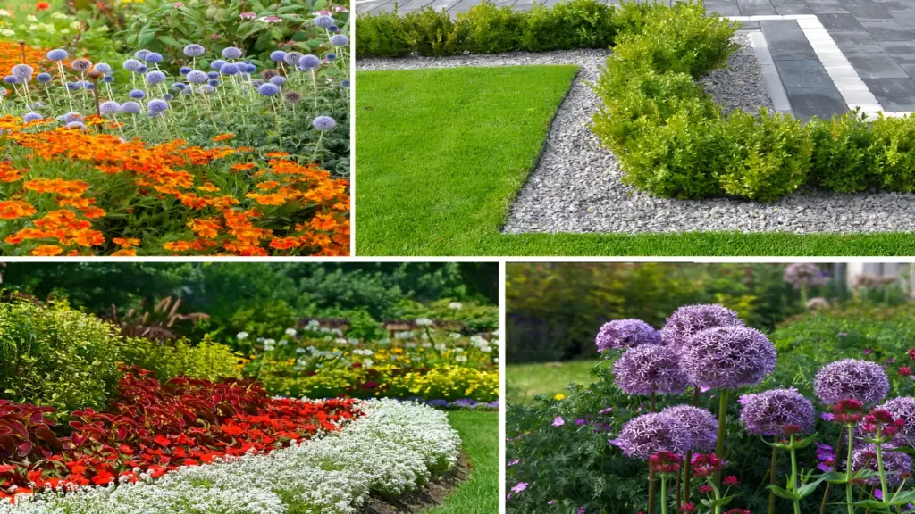 How to Choose the Right Border Plants