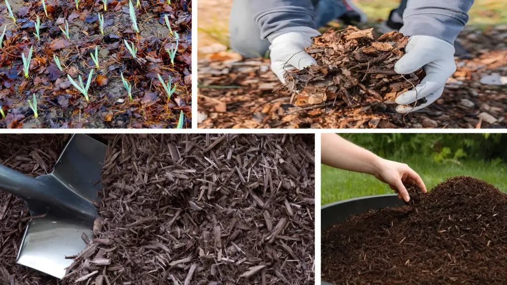 The Ultimate Fall Mulch Strategy