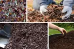 The Ultimate Fall Mulch Strategy